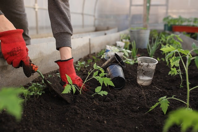 Tuinman in Hoogeveen